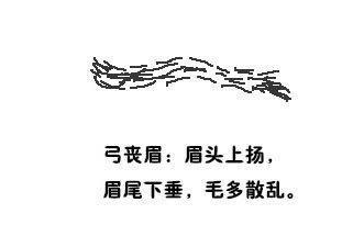 龙眉  尖刀眉  一字眉   螺旋眉  断心眉上扬眉   杂乱眉    弗丧眉