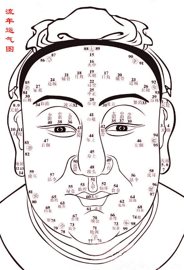 百岁面相流年运程图