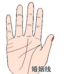 手相婚姻线图解两条婚姻线