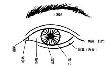 眼神眼形眼部面相图解