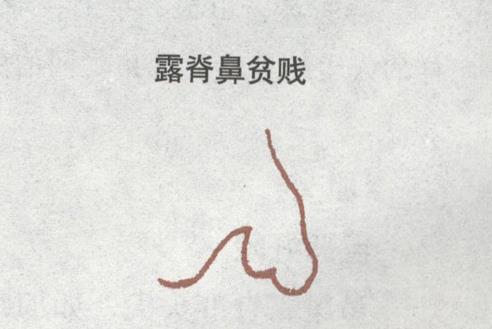 露脊鼻_鼻子_学搭配运势网