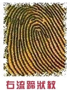 【左流蹄状纹】——爱情方面十分被动,只会静待对方表态,将对方想得太