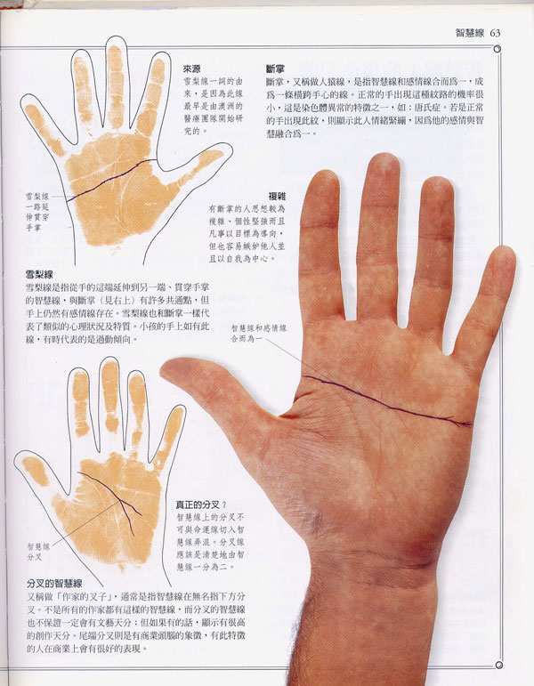 手相学习百科智慧线