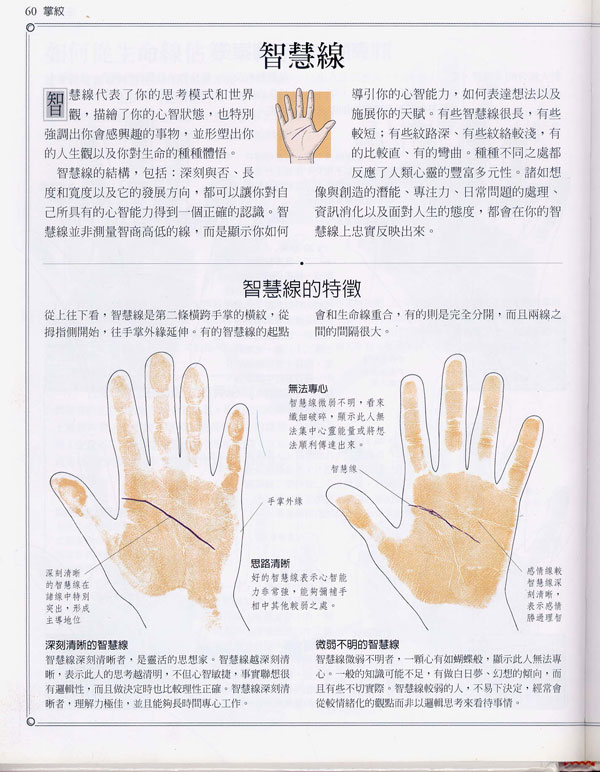 手相学习百科智慧线