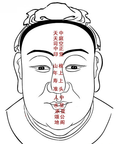 面相十三部位图_面相_学搭配运势网