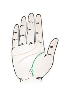 手相生命线全解