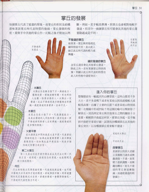 手相学习百科掌丘