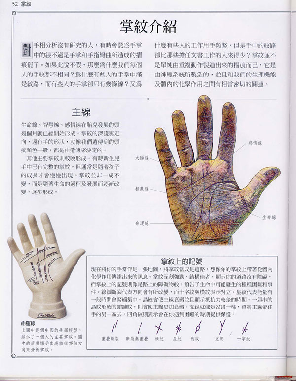 手相学习百科掌纹介绍