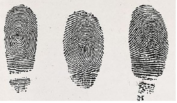 指纹算命十七簸箕斗斗斗斗