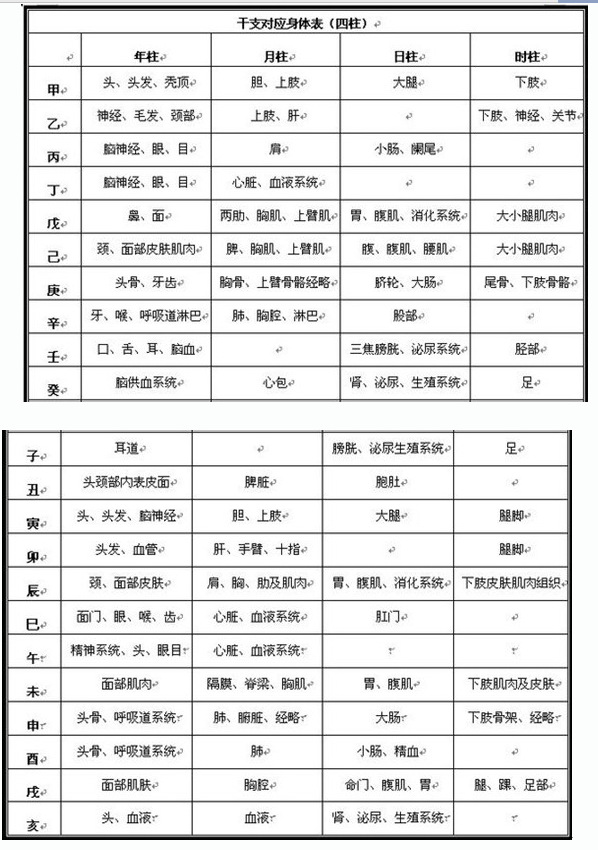 干支对应身体表