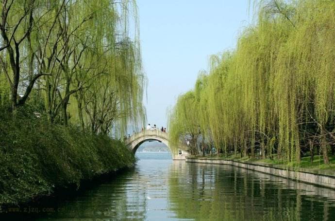 杨柳木天河水图片