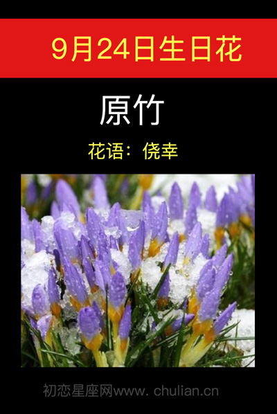 9月24日生日花原竹