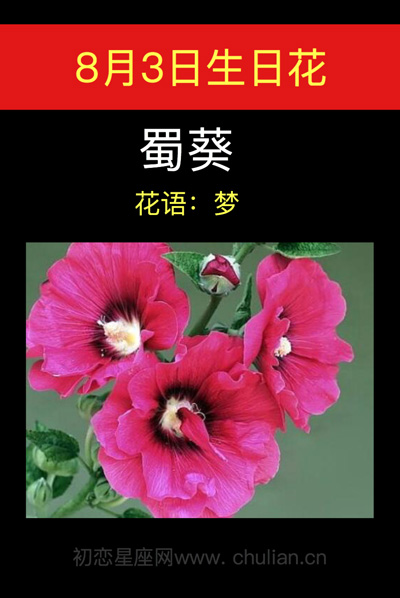 8月3日生日花蜀葵