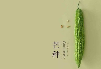 今年芒种是什么日子？2020芒种日子结婚好吗？