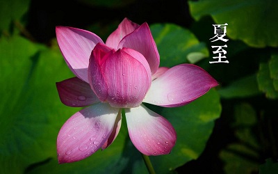 2020年夏至是哪天？夏至这天下雨意味着夏天不热吗？