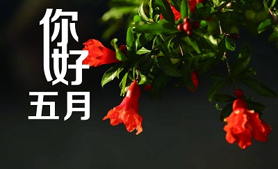 2020农历五月有没有三十农历五月是什么属相