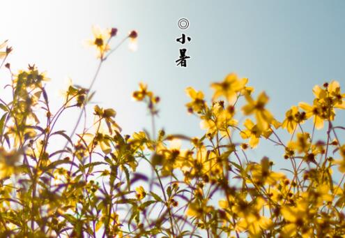 2020年五月十六小暑适合开业吗,小暑节气要注意什么？