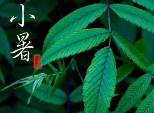 2020年五月十六小暑适合开业吗,小暑节气要注意什么？