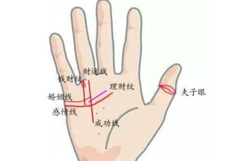 女人嫁得好的手相分析