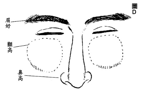 尖刀眉的面相图解