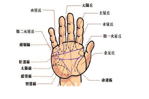 掌纹会有出现了三条主线互补相交形成的,对于拥有这样手相特点的男人