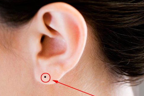 耳朵小的女人的命运