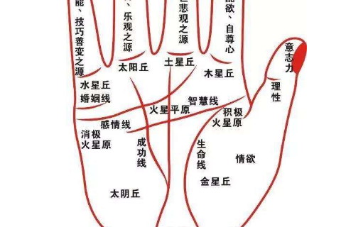 女人看手相算命图解嫁得好的命运