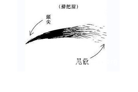 女人扫帚眉面相解析
