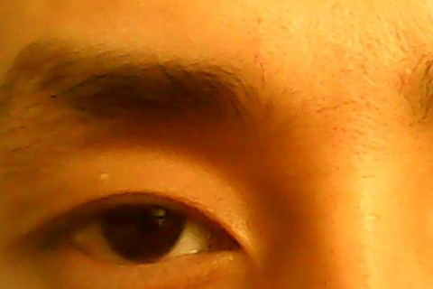 扫把眉的男人命运怎么样