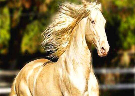 驿马临十神的大运流年