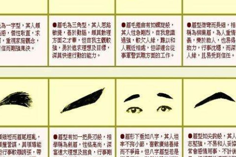 男人富贵眉毛看相图解
