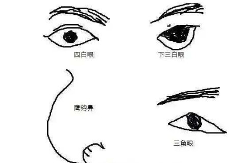 眉压眼的男人面相分析