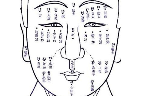 分析女人下巴上长痣面相图