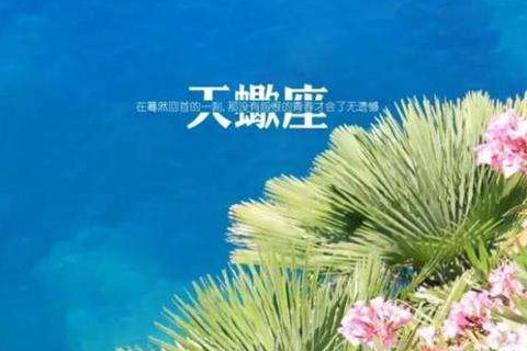天蝎女喜欢你的表现有哪些