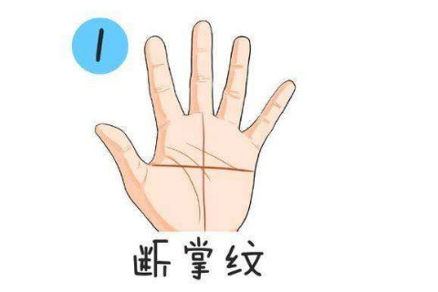 右手断掌手相看运势好不好