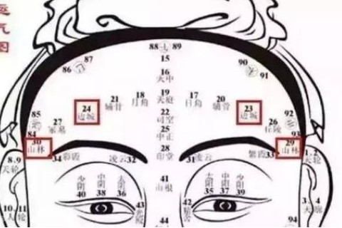 额头皱纹面相算命图解大全