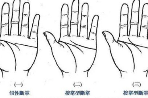 断掌看你的命好不好