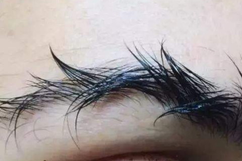 如果一个人的眉毛是往上翘的话,代表了这样面相特点