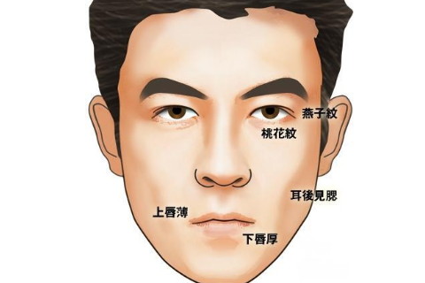 男人嘴唇厚面相解析大全