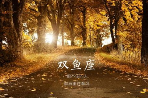 怎么挽回双鱼座男生
