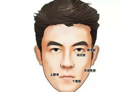 鼻子有节的男人面相好吗