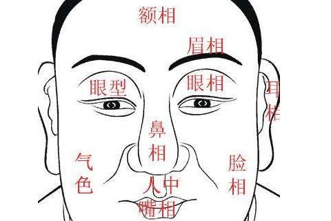 一般来说,对于有宽大额头的人都是属于官相的人.