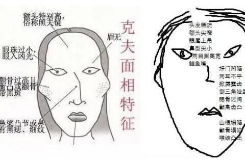 女人眉毛克夫的面相图图片