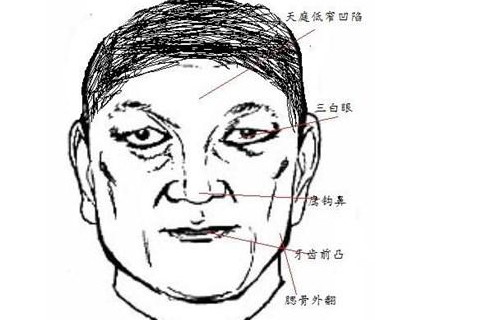 面相中最靠不住的男人