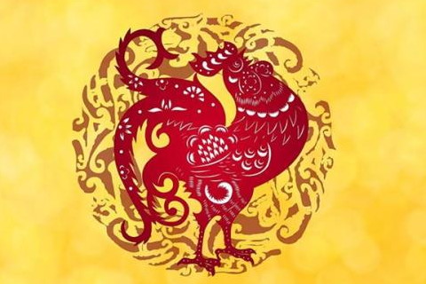 五月出生的属鸡人命运好吗