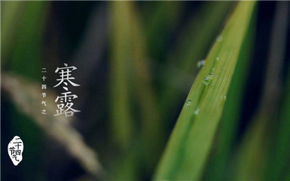寒露可不可以吃凉的东西？寒露养生八大禁忌！