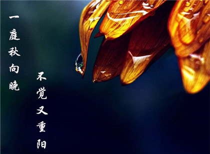 重阳节的含义是什么？我们为什么要过重阳节？