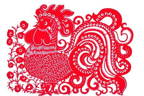 八月出生的属鸡人命运好吗
