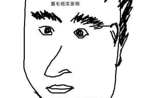 眉毛往下垂的男人命运好不好