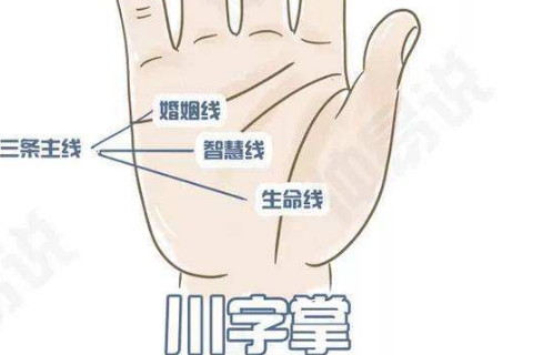 男人川字纹手相命运详解